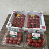 4月スタートと春の差し入れ🌸🍓　【橋本工務店】