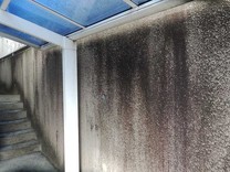 10年前に他社様で塗装したのですが、塀は黒く汚れています。