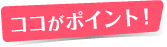 ココがポイント